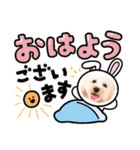 愛犬❤ココ面白スタンプ【ヒロ御朱印.com】（個別スタンプ：1）