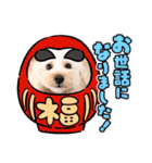 愛犬❤ココ面白スタンプ【ヒロ御朱印.com】（個別スタンプ：13）