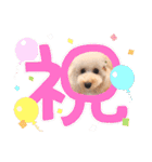 愛犬❤ココ面白スタンプ【ヒロ御朱印.com】（個別スタンプ：14）