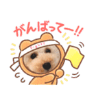 愛犬❤ココ面白スタンプ【ヒロ御朱印.com】（個別スタンプ：20）