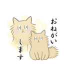 ねこ的世界（個別スタンプ：24）