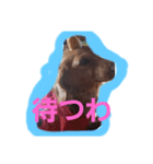 おでかけodekake（個別スタンプ：1）