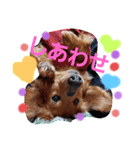おでかけodekake（個別スタンプ：5）