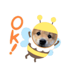 うちの柴犬ゴンのつぶやき（個別スタンプ：2）
