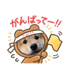 うちの柴犬ゴンのつぶやき（個別スタンプ：5）