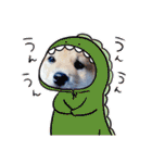 うちの柴犬ゴンのつぶやき（個別スタンプ：30）