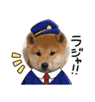 うちの柴犬ゴンのつぶやき（個別スタンプ：36）