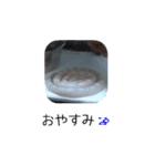 コーンスネークのシャケスタンプ（個別スタンプ：2）