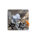ちぃちゃんです。（個別スタンプ：31）