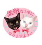 【白ねこ＆黒ねこ】動く！ペットたち（個別スタンプ：10）