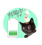 【白ねこ＆黒ねこ】動く！ペットたち（個別スタンプ：11）