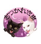 【白ねこ＆黒ねこ】動く！ペットたち（個別スタンプ：16）