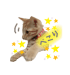 まつおかこむぎ︎︎ です（個別スタンプ：9）