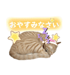まつおかこむぎ︎︎ です（個別スタンプ：12）