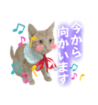 まつおかこむぎ︎︎ です（個別スタンプ：19）