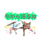まつおかこむぎ︎︎ です（個別スタンプ：20）
