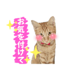 まつおかこむぎ︎︎ です（個別スタンプ：21）