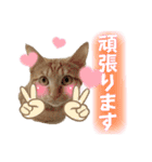 まつおかこむぎ︎︎ です（個別スタンプ：23）