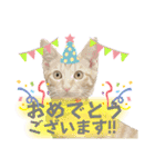 まつおかこむぎ︎︎ です（個別スタンプ：25）