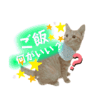 まつおかこむぎ︎︎ です（個別スタンプ：26）