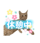 まつおかこむぎ︎︎ です（個別スタンプ：28）