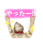 まつおかこむぎ︎︎ です（個別スタンプ：32）