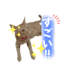 まつおかこむぎ︎︎ です（個別スタンプ：33）