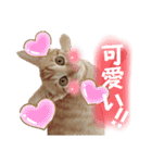まつおかこむぎ︎︎ です（個別スタンプ：35）