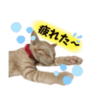 まつおかこむぎ︎︎ です（個別スタンプ：37）