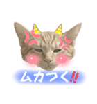 まつおかこむぎ︎︎ です（個別スタンプ：38）
