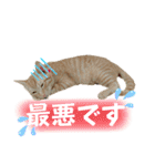 まつおかこむぎ︎︎ です（個別スタンプ：39）