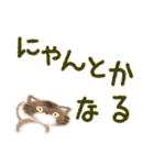 3匹の猫にゃ〜（個別スタンプ：27）