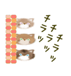 3匹の猫にゃ〜（個別スタンプ：31）