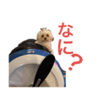 ちくちゃん専用すたんぷ（個別スタンプ：1）
