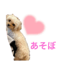 ちくちゃん専用すたんぷ（個別スタンプ：3）