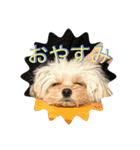 ちくちゃん専用すたんぷ（個別スタンプ：4）