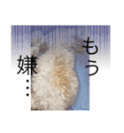 ちくちゃん専用すたんぷ（個別スタンプ：5）