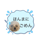 ちくちゃん専用すたんぷ（個別スタンプ：8）