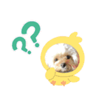 ちくちゃん専用すたんぷ（個別スタンプ：13）