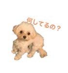ちくちゃん専用すたんぷ（個別スタンプ：15）