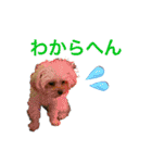 ちくちゃん専用すたんぷ（個別スタンプ：16）