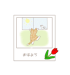 ねこぽら（個別スタンプ：1）