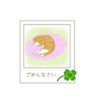 ねこぽら（個別スタンプ：15）