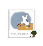 ねこぽら（個別スタンプ：16）