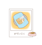 ねこぽら（個別スタンプ：19）