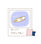 ねこぽら（個別スタンプ：20）