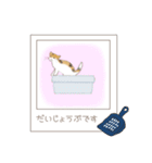 ねこぽら（個別スタンプ：29）