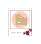 ねこぽら（個別スタンプ：34）