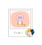 ねこぽら（個別スタンプ：37）