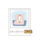 ねこぽら（個別スタンプ：38）